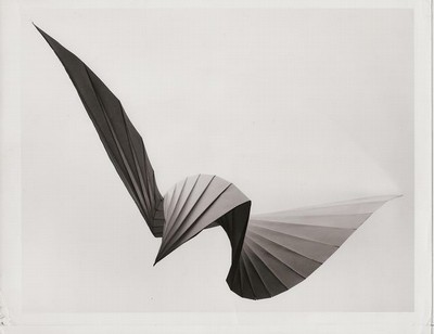 Folded Bird.jpg